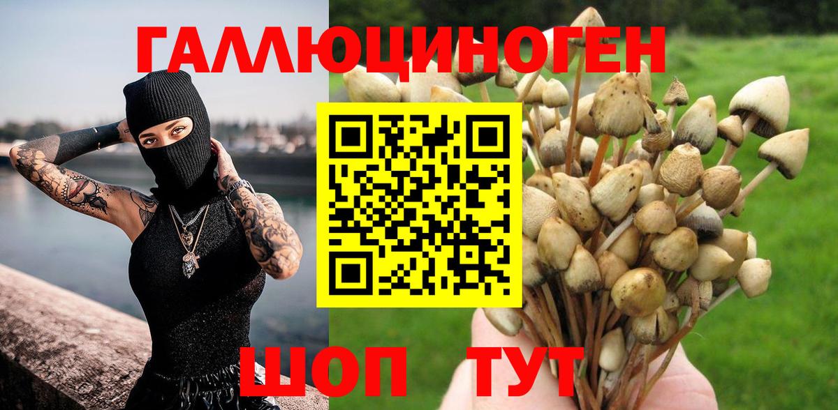 Псилоцибиновые грибы GOLDEN TEACHER Балашиха